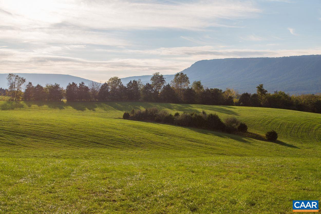 NONE, LURAY, Virginia 22835, ,Farm,For Sale,NONE,660498 MLS # 660498 NONE, LURAY, Virginia 22835, ,Farm,For Sale,NONE,660498 MLS # 660498