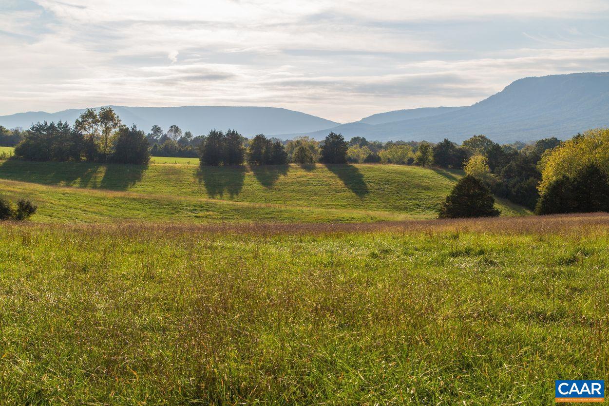 NONE, LURAY, Virginia 22835, ,Farm,For Sale,NONE,660498 MLS # 660498 NONE, LURAY, Virginia 22835, ,Farm,For Sale,NONE,660498 MLS # 660498