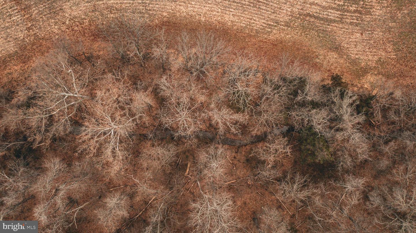 TBD ELLIS RD, LIGNUM, Virginia 22726, ,Farm,For Sale,TBD ELLIS RD,VACU2009722 MLS # VACU2009722 TBD ELLIS RD, LIGNUM, Virginia 22726, ,Farm,For Sale,TBD ELLIS RD,VACU2009722 MLS # VACU2009722