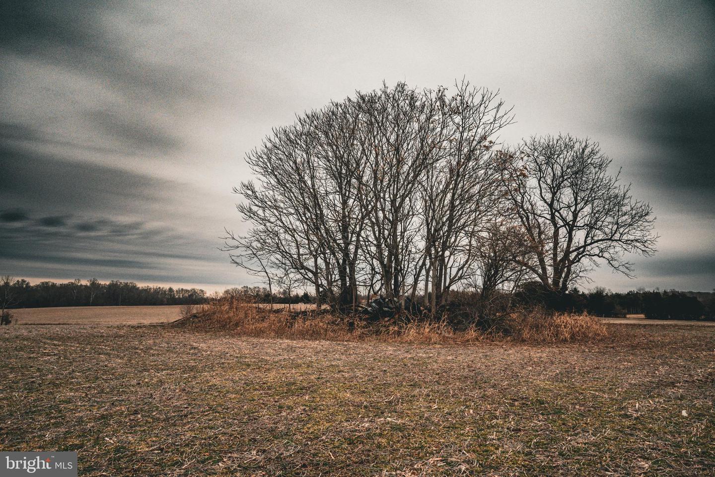 TBD ELLIS RD, LIGNUM, Virginia 22726, ,Farm,For Sale,TBD ELLIS RD,VACU2009722 MLS # VACU2009722 TBD ELLIS RD, LIGNUM, Virginia 22726, ,Farm,For Sale,TBD ELLIS RD,VACU2009722 MLS # VACU2009722