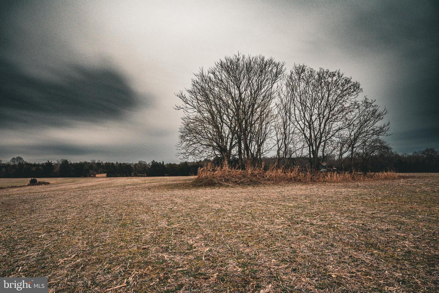 TBD ELLIS RD, LIGNUM, Virginia 22726, ,Farm,For Sale,TBD ELLIS RD,VACU2009722 MLS # VACU2009722 TBD ELLIS RD, LIGNUM, Virginia 22726, ,Farm,For Sale,TBD ELLIS RD,VACU2009722 MLS # VACU2009722