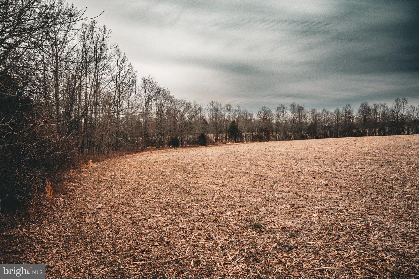 TBD ELLIS RD, LIGNUM, Virginia 22726, ,Farm,For Sale,TBD ELLIS RD,VACU2009722 MLS # VACU2009722 TBD ELLIS RD, LIGNUM, Virginia 22726, ,Farm,For Sale,TBD ELLIS RD,VACU2009722 MLS # VACU2009722