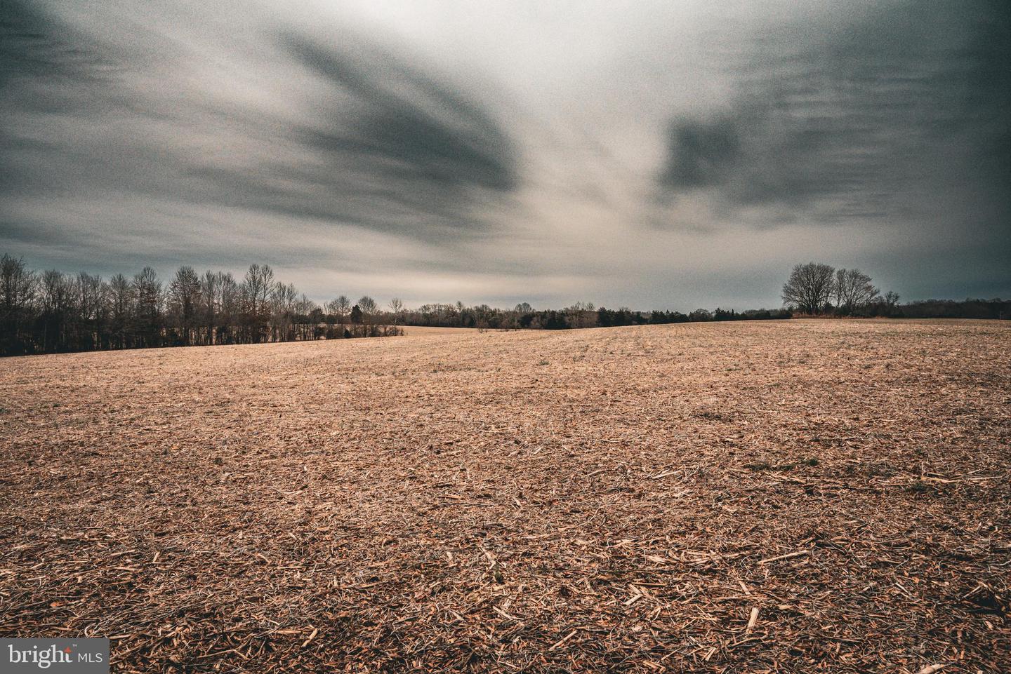 TBD ELLIS RD, LIGNUM, Virginia 22726, ,Farm,For Sale,TBD ELLIS RD,VACU2009722 MLS # VACU2009722 TBD ELLIS RD, LIGNUM, Virginia 22726, ,Farm,For Sale,TBD ELLIS RD,VACU2009722 MLS # VACU2009722