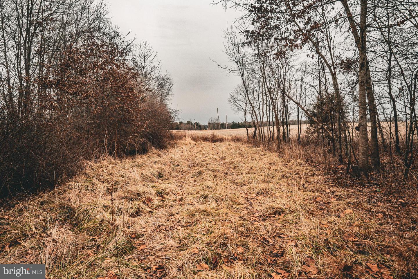 TBD ELLIS RD, LIGNUM, Virginia 22726, ,Farm,For Sale,TBD ELLIS RD,VACU2009722 MLS # VACU2009722 TBD ELLIS RD, LIGNUM, Virginia 22726, ,Farm,For Sale,TBD ELLIS RD,VACU2009722 MLS # VACU2009722
