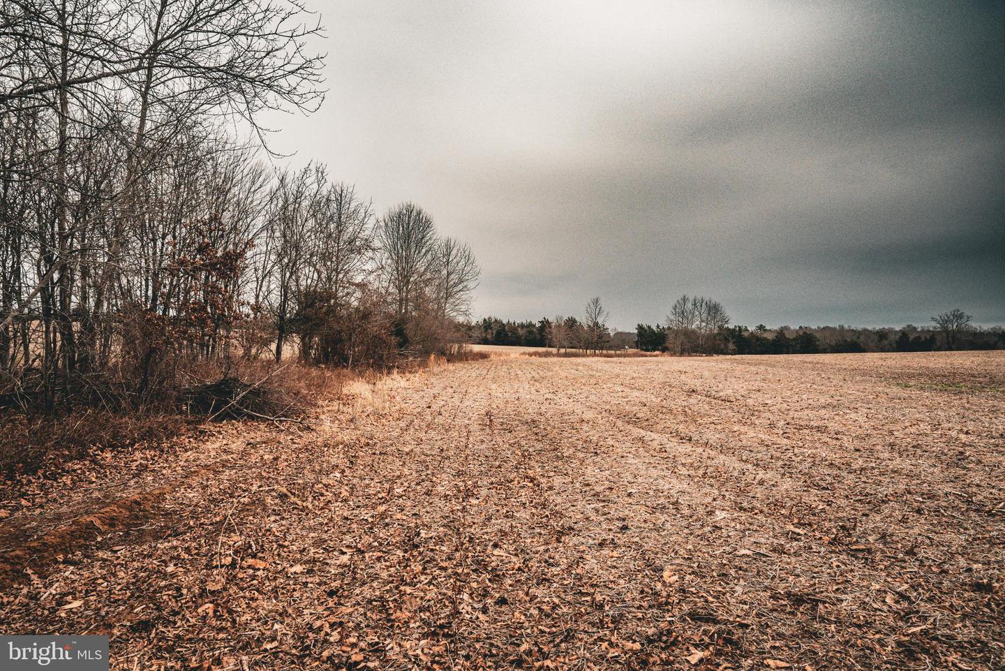 TBD ELLIS RD, LIGNUM, Virginia 22726, ,Farm,For Sale,TBD ELLIS RD,VACU2009722 MLS # VACU2009722 TBD ELLIS RD, LIGNUM, Virginia 22726, ,Farm,For Sale,TBD ELLIS RD,VACU2009722 MLS # VACU2009722