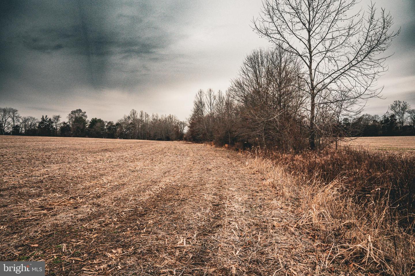 TBD ELLIS RD, LIGNUM, Virginia 22726, ,Farm,For Sale,TBD ELLIS RD,VACU2009722 MLS # VACU2009722 TBD ELLIS RD, LIGNUM, Virginia 22726, ,Farm,For Sale,TBD ELLIS RD,VACU2009722 MLS # VACU2009722