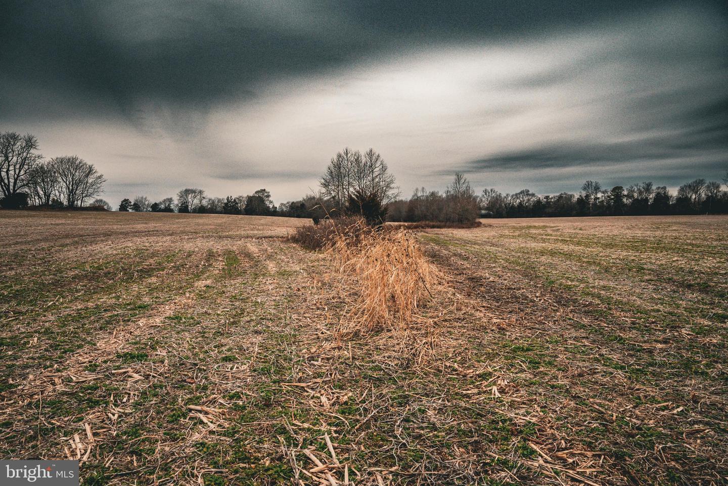 TBD ELLIS RD, LIGNUM, Virginia 22726, ,Farm,For Sale,TBD ELLIS RD,VACU2009722 MLS # VACU2009722 TBD ELLIS RD, LIGNUM, Virginia 22726, ,Farm,For Sale,TBD ELLIS RD,VACU2009722 MLS # VACU2009722