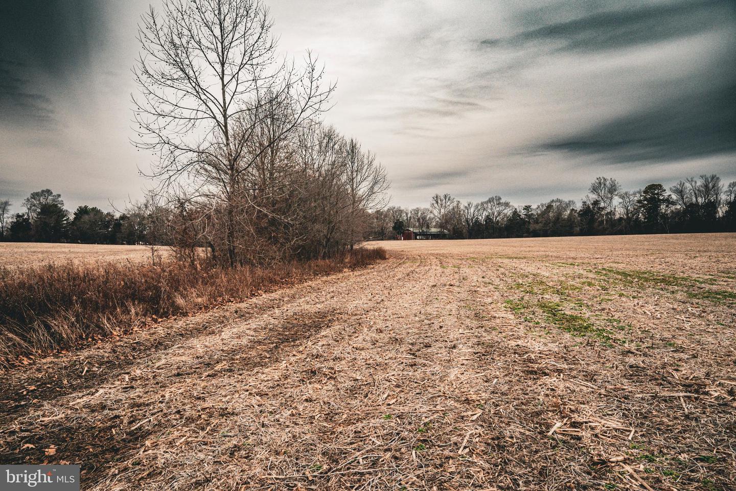 TBD ELLIS RD, LIGNUM, Virginia 22726, ,Farm,For Sale,TBD ELLIS RD,VACU2009722 MLS # VACU2009722 TBD ELLIS RD, LIGNUM, Virginia 22726, ,Farm,For Sale,TBD ELLIS RD,VACU2009722 MLS # VACU2009722