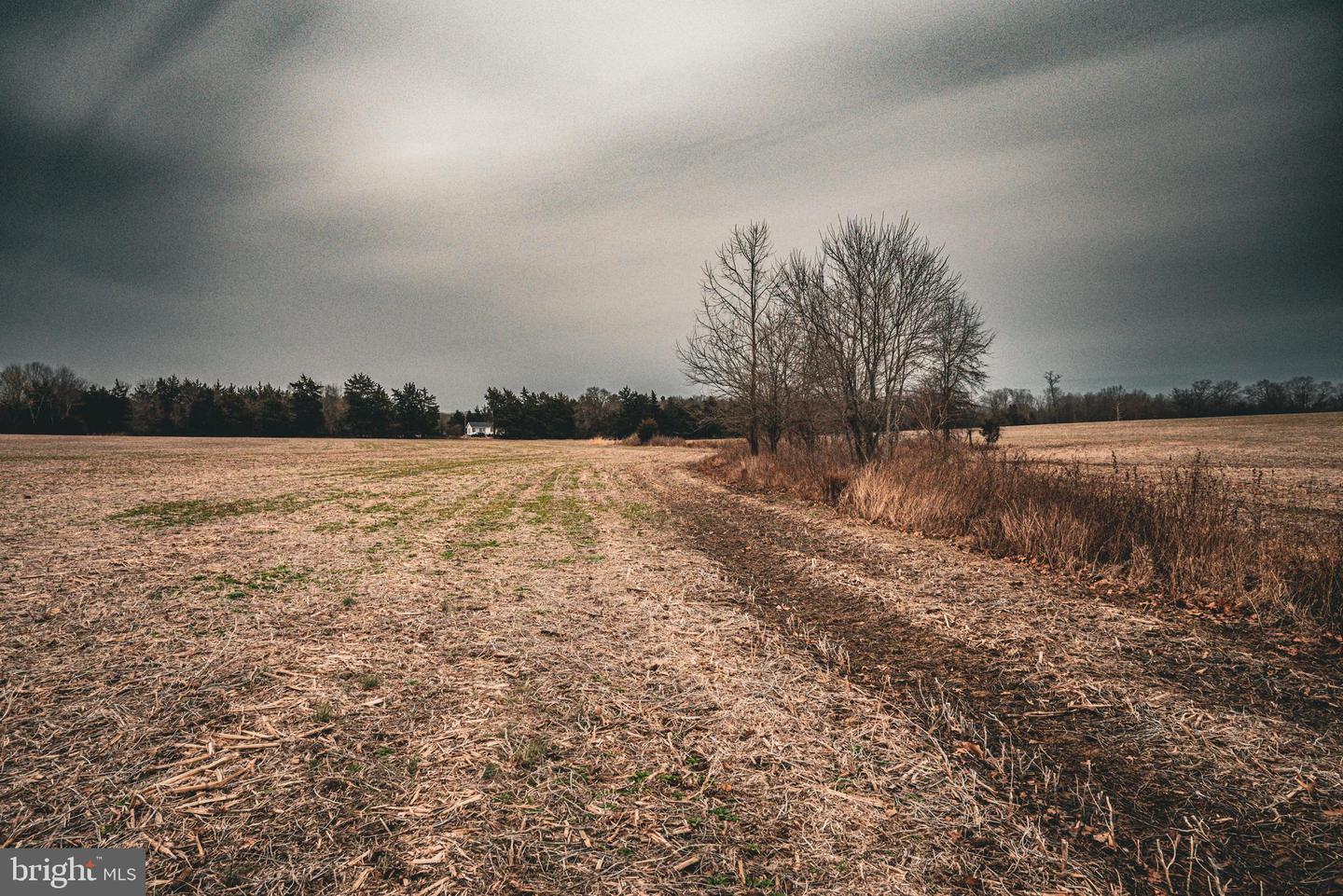TBD ELLIS RD, LIGNUM, Virginia 22726, ,Farm,For Sale,TBD ELLIS RD,VACU2009722 MLS # VACU2009722 TBD ELLIS RD, LIGNUM, Virginia 22726, ,Farm,For Sale,TBD ELLIS RD,VACU2009722 MLS # VACU2009722