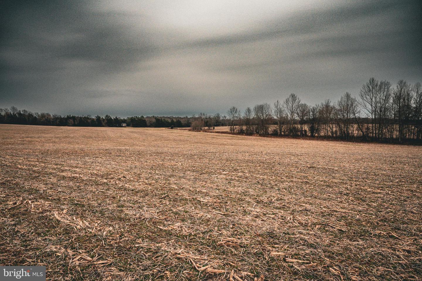 TBD ELLIS RD, LIGNUM, Virginia 22726, ,Farm,For Sale,TBD ELLIS RD,VACU2009722 MLS # VACU2009722 TBD ELLIS RD, LIGNUM, Virginia 22726, ,Farm,For Sale,TBD ELLIS RD,VACU2009722 MLS # VACU2009722