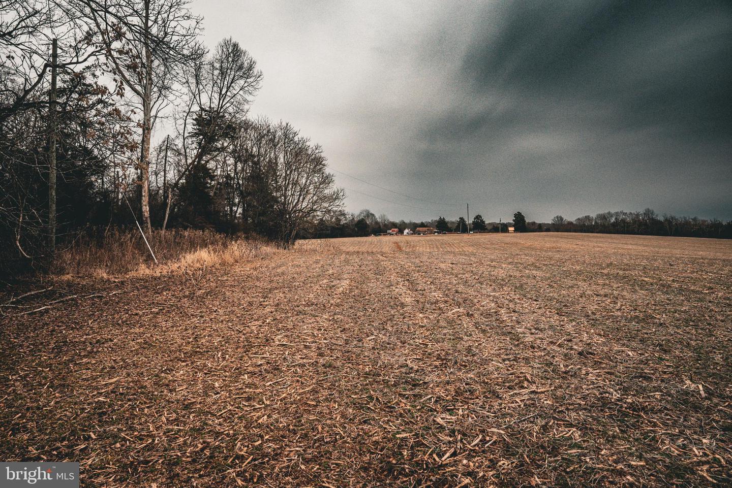 TBD ELLIS RD, LIGNUM, Virginia 22726, ,Farm,For Sale,TBD ELLIS RD,VACU2009722 MLS # VACU2009722 TBD ELLIS RD, LIGNUM, Virginia 22726, ,Farm,For Sale,TBD ELLIS RD,VACU2009722 MLS # VACU2009722