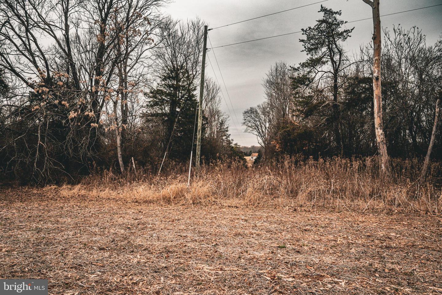 TBD ELLIS RD, LIGNUM, Virginia 22726, ,Farm,For Sale,TBD ELLIS RD,VACU2009722 MLS # VACU2009722 TBD ELLIS RD, LIGNUM, Virginia 22726, ,Farm,For Sale,TBD ELLIS RD,VACU2009722 MLS # VACU2009722