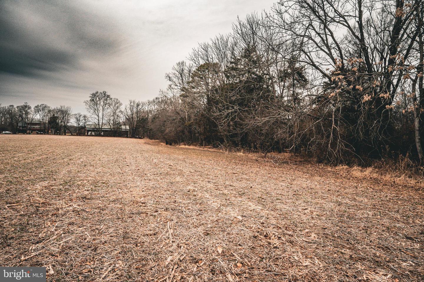 TBD ELLIS RD, LIGNUM, Virginia 22726, ,Farm,For Sale,TBD ELLIS RD,VACU2009722 MLS # VACU2009722 TBD ELLIS RD, LIGNUM, Virginia 22726, ,Farm,For Sale,TBD ELLIS RD,VACU2009722 MLS # VACU2009722
