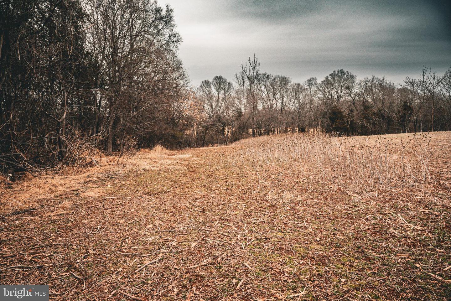 TBD ELLIS RD, LIGNUM, Virginia 22726, ,Farm,For Sale,TBD ELLIS RD,VACU2009722 MLS # VACU2009722 TBD ELLIS RD, LIGNUM, Virginia 22726, ,Farm,For Sale,TBD ELLIS RD,VACU2009722 MLS # VACU2009722