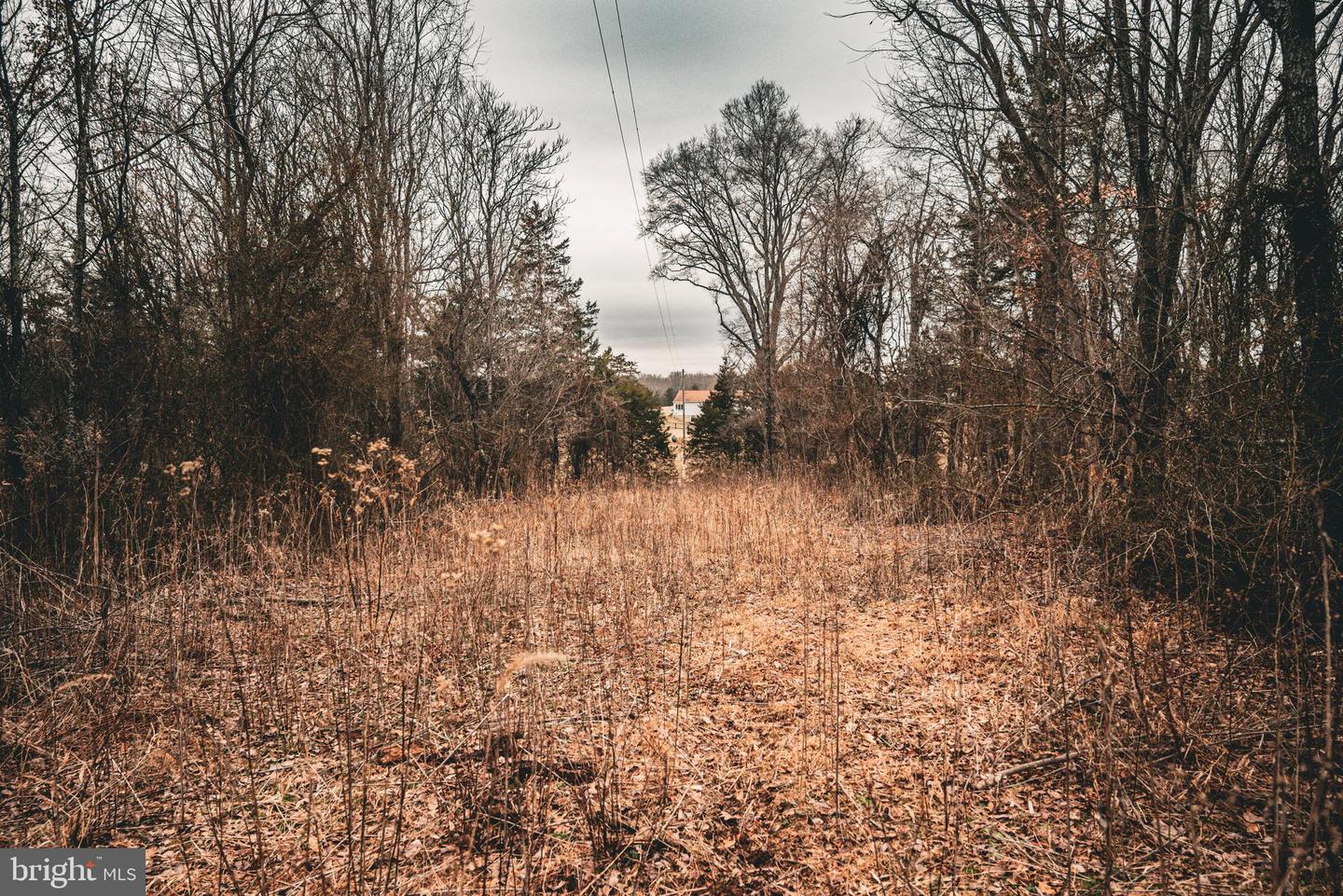 TBD ELLIS RD, LIGNUM, Virginia 22726, ,Farm,For Sale,TBD ELLIS RD,VACU2009722 MLS # VACU2009722 TBD ELLIS RD, LIGNUM, Virginia 22726, ,Farm,For Sale,TBD ELLIS RD,VACU2009722 MLS # VACU2009722