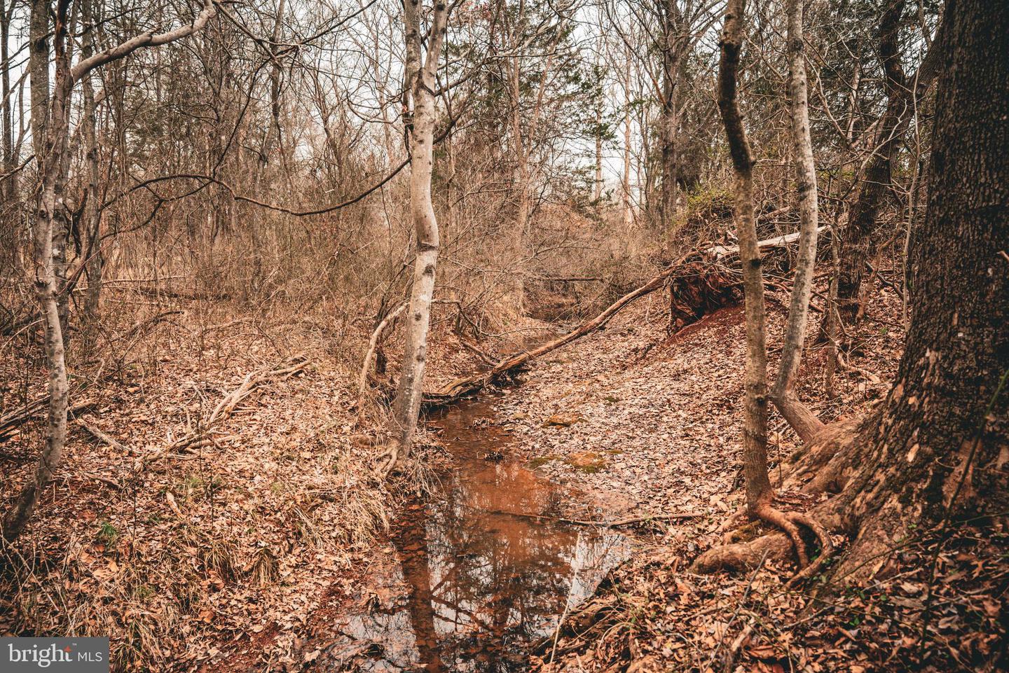TBD ELLIS RD, LIGNUM, Virginia 22726, ,Farm,For Sale,TBD ELLIS RD,VACU2009722 MLS # VACU2009722 TBD ELLIS RD, LIGNUM, Virginia 22726, ,Farm,For Sale,TBD ELLIS RD,VACU2009722 MLS # VACU2009722