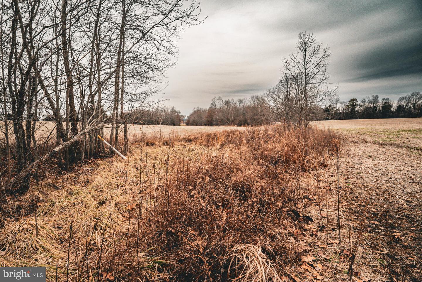 TBD ELLIS RD, LIGNUM, Virginia 22726, ,Farm,For Sale,TBD ELLIS RD,VACU2009722 MLS # VACU2009722 TBD ELLIS RD, LIGNUM, Virginia 22726, ,Farm,For Sale,TBD ELLIS RD,VACU2009722 MLS # VACU2009722