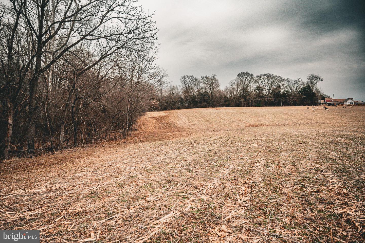 TBD ELLIS RD, LIGNUM, Virginia 22726, ,Farm,For Sale,TBD ELLIS RD,VACU2009722 MLS # VACU2009722 TBD ELLIS RD, LIGNUM, Virginia 22726, ,Farm,For Sale,TBD ELLIS RD,VACU2009722 MLS # VACU2009722