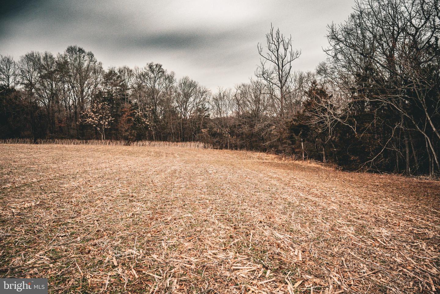 TBD ELLIS RD, LIGNUM, Virginia 22726, ,Farm,For Sale,TBD ELLIS RD,VACU2009722 MLS # VACU2009722 TBD ELLIS RD, LIGNUM, Virginia 22726, ,Farm,For Sale,TBD ELLIS RD,VACU2009722 MLS # VACU2009722