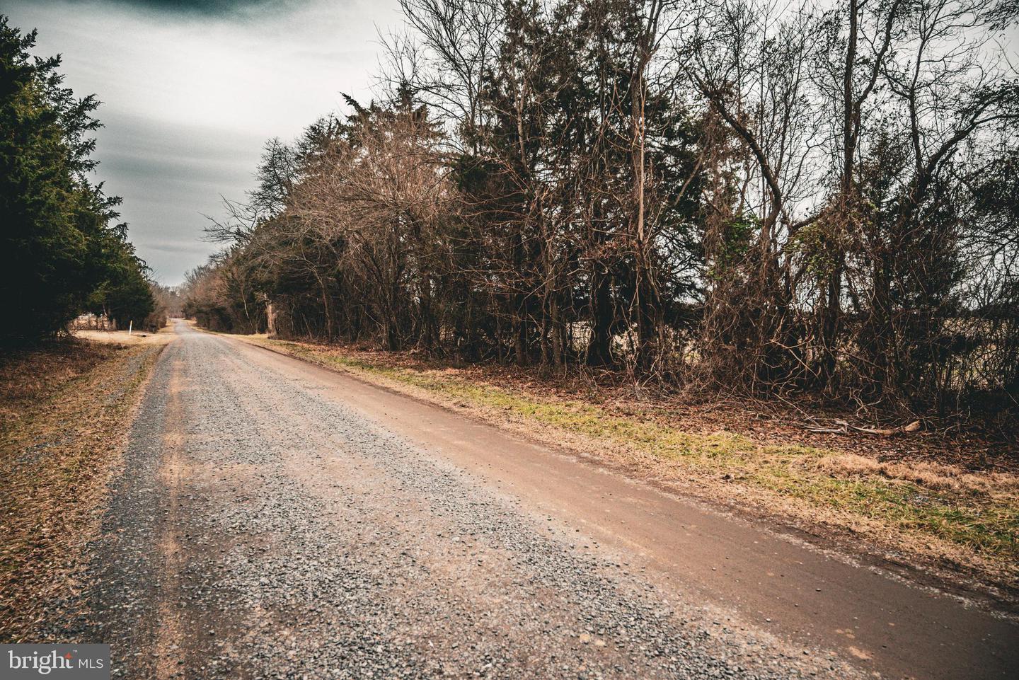 TBD ELLIS RD, LIGNUM, Virginia 22726, ,Farm,For Sale,TBD ELLIS RD,VACU2009722 MLS # VACU2009722 TBD ELLIS RD, LIGNUM, Virginia 22726, ,Farm,For Sale,TBD ELLIS RD,VACU2009722 MLS # VACU2009722