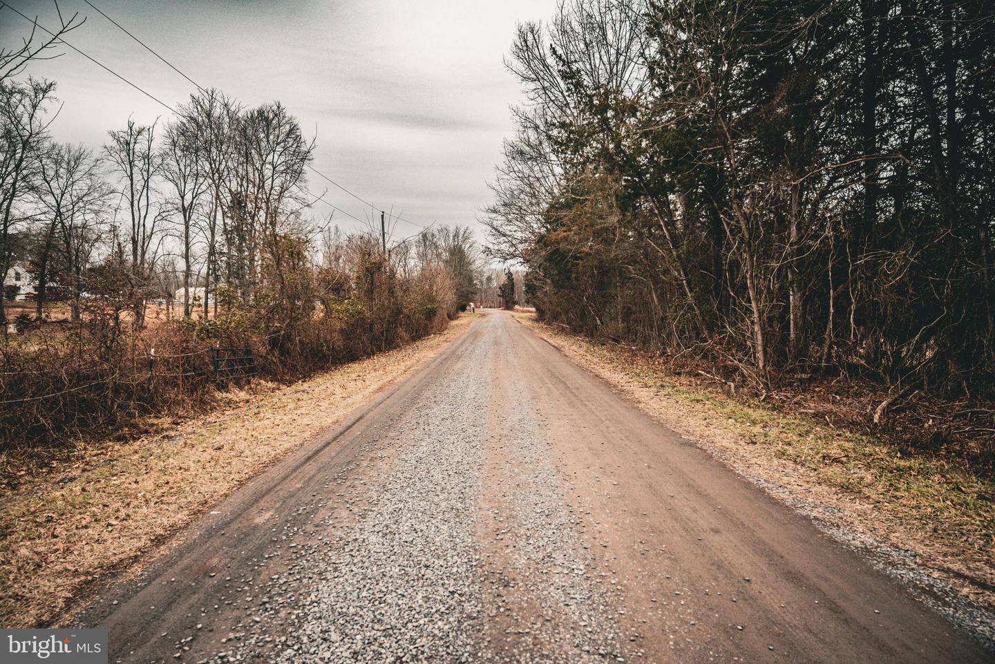 TBD ELLIS RD, LIGNUM, Virginia 22726, ,Farm,For Sale,TBD ELLIS RD,VACU2009722 MLS # VACU2009722 TBD ELLIS RD, LIGNUM, Virginia 22726, ,Farm,For Sale,TBD ELLIS RD,VACU2009722 MLS # VACU2009722