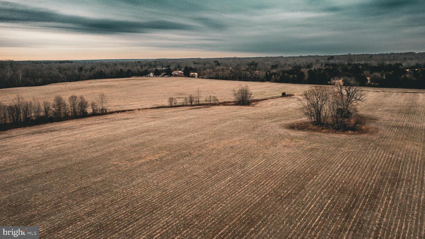 TBD ELLIS RD, LIGNUM, Virginia 22726, ,Farm,For Sale,TBD ELLIS RD,VACU2009722 MLS # VACU2009722 TBD ELLIS RD, LIGNUM, Virginia 22726, ,Farm,For Sale,TBD ELLIS RD,VACU2009722 MLS # VACU2009722