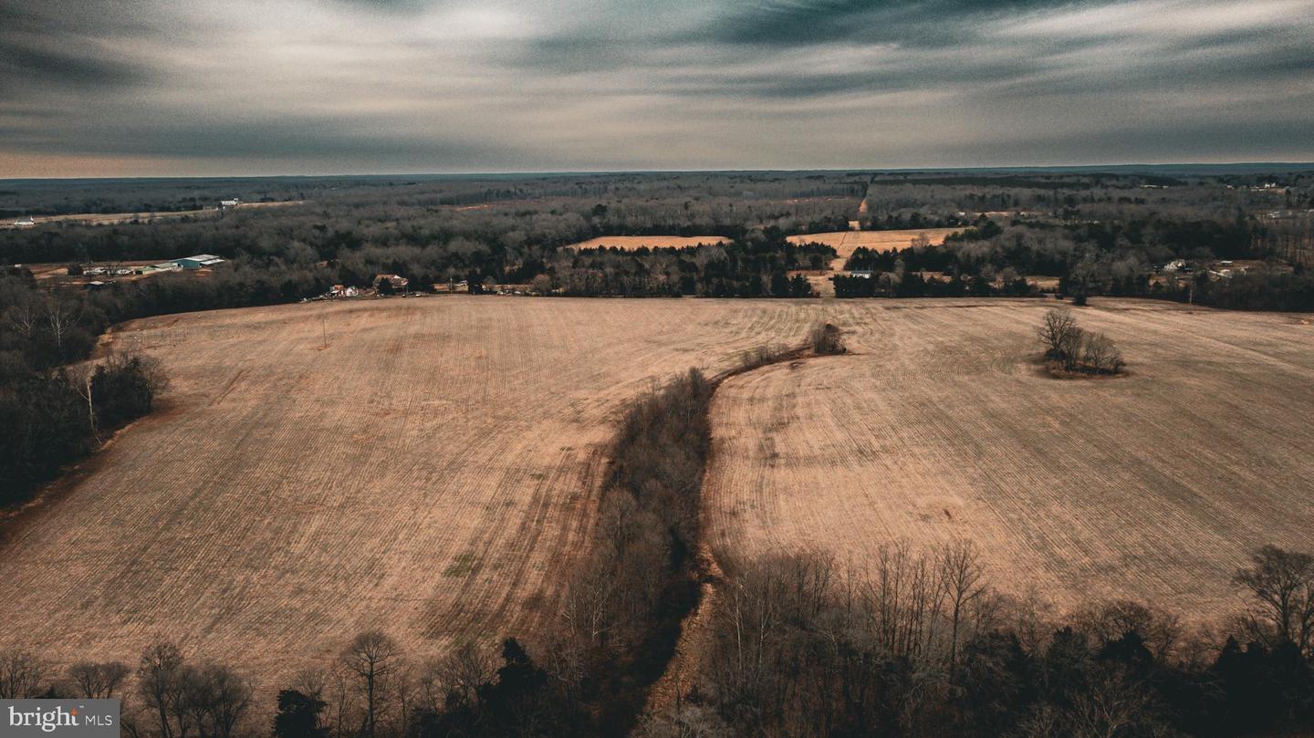 TBD ELLIS RD, LIGNUM, Virginia 22726, ,Farm,For Sale,TBD ELLIS RD,VACU2009722 MLS # VACU2009722 TBD ELLIS RD, LIGNUM, Virginia 22726, ,Farm,For Sale,TBD ELLIS RD,VACU2009722 MLS # VACU2009722