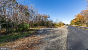 4800 GUINEA STATION RD, FREDERICKSBURG, Virginia 22407, ,Land,For Sale,4800 GUINEA STATION RD,VASP2028760 MLS # VASP2028760