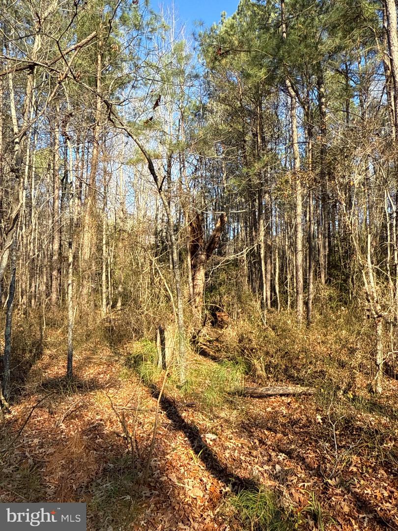 00 GLASS ROAD, HAYES, Virginia 23072, ,Farm,For Sale,00 GLASS ROAD,VAGV2000104 MLS # VAGV2000104 00 GLASS ROAD, HAYES, Virginia 23072, ,Farm,For Sale,00 GLASS ROAD,VAGV2000104 MLS # VAGV2000104