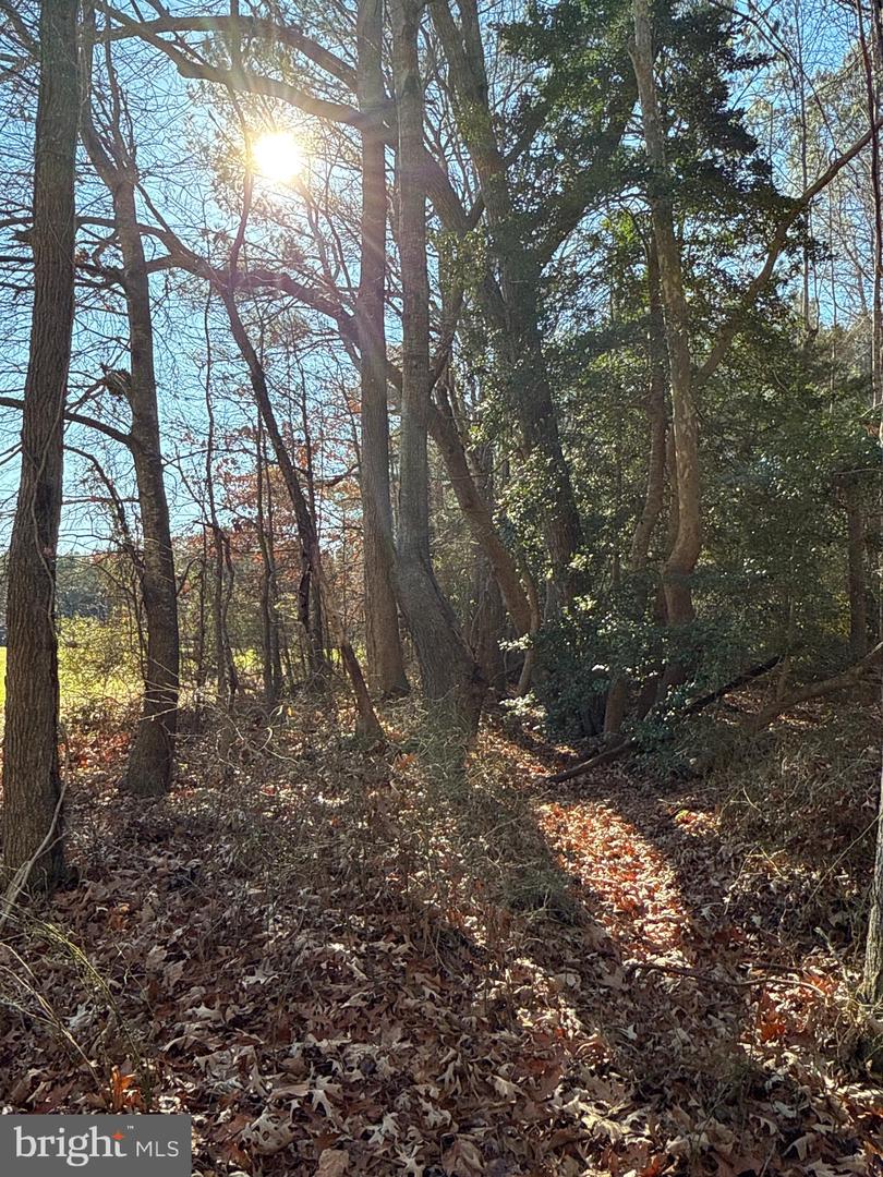 00 GLASS ROAD, HAYES, Virginia 23072, ,Farm,For Sale,00 GLASS ROAD,VAGV2000104 MLS # VAGV2000104 00 GLASS ROAD, HAYES, Virginia 23072, ,Farm,For Sale,00 GLASS ROAD,VAGV2000104 MLS # VAGV2000104