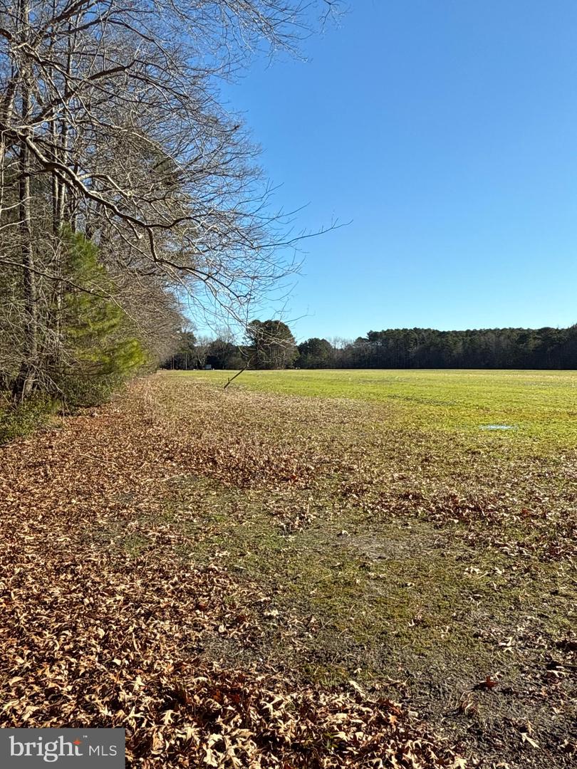 00 GLASS ROAD, HAYES, Virginia 23072, ,Farm,For Sale,00 GLASS ROAD,VAGV2000104 MLS # VAGV2000104 00 GLASS ROAD, HAYES, Virginia 23072, ,Farm,For Sale,00 GLASS ROAD,VAGV2000104 MLS # VAGV2000104