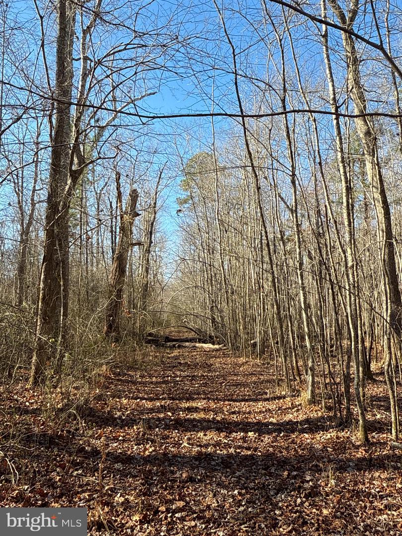 00 GLASS ROAD, HAYES, Virginia 23072, ,Farm,For Sale,00 GLASS ROAD,VAGV2000104 MLS # VAGV2000104 00 GLASS ROAD, HAYES, Virginia 23072, ,Farm,For Sale,00 GLASS ROAD,VAGV2000104 MLS # VAGV2000104