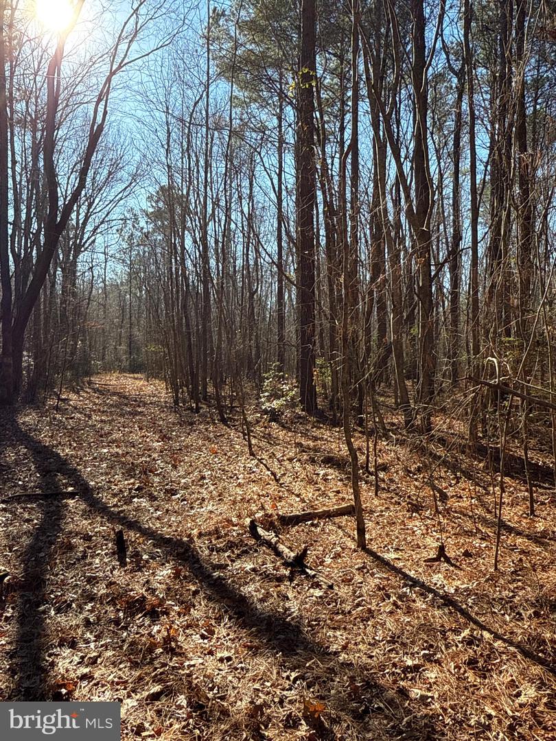 00 GLASS ROAD, HAYES, Virginia 23072, ,Farm,For Sale,00 GLASS ROAD,VAGV2000104 MLS # VAGV2000104 00 GLASS ROAD, HAYES, Virginia 23072, ,Farm,For Sale,00 GLASS ROAD,VAGV2000104 MLS # VAGV2000104