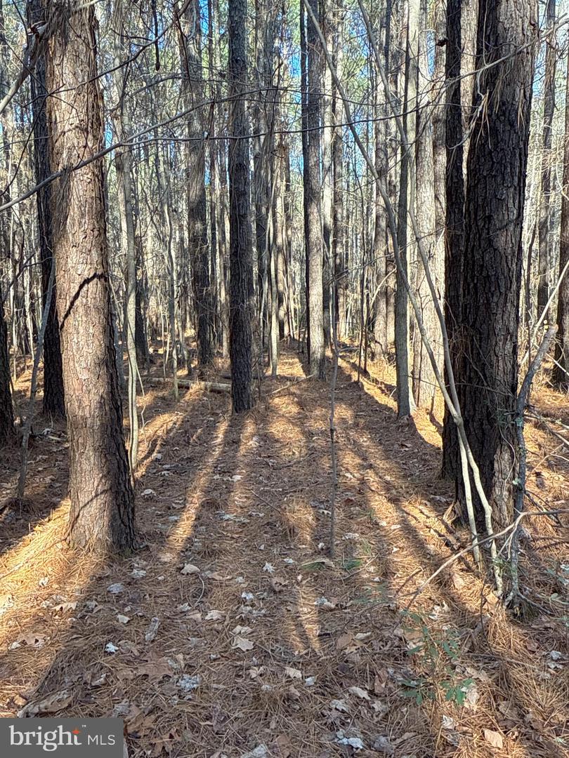 00 GLASS ROAD, HAYES, Virginia 23072, ,Farm,For Sale,00 GLASS ROAD,VAGV2000104 MLS # VAGV2000104 00 GLASS ROAD, HAYES, Virginia 23072, ,Farm,For Sale,00 GLASS ROAD,VAGV2000104 MLS # VAGV2000104