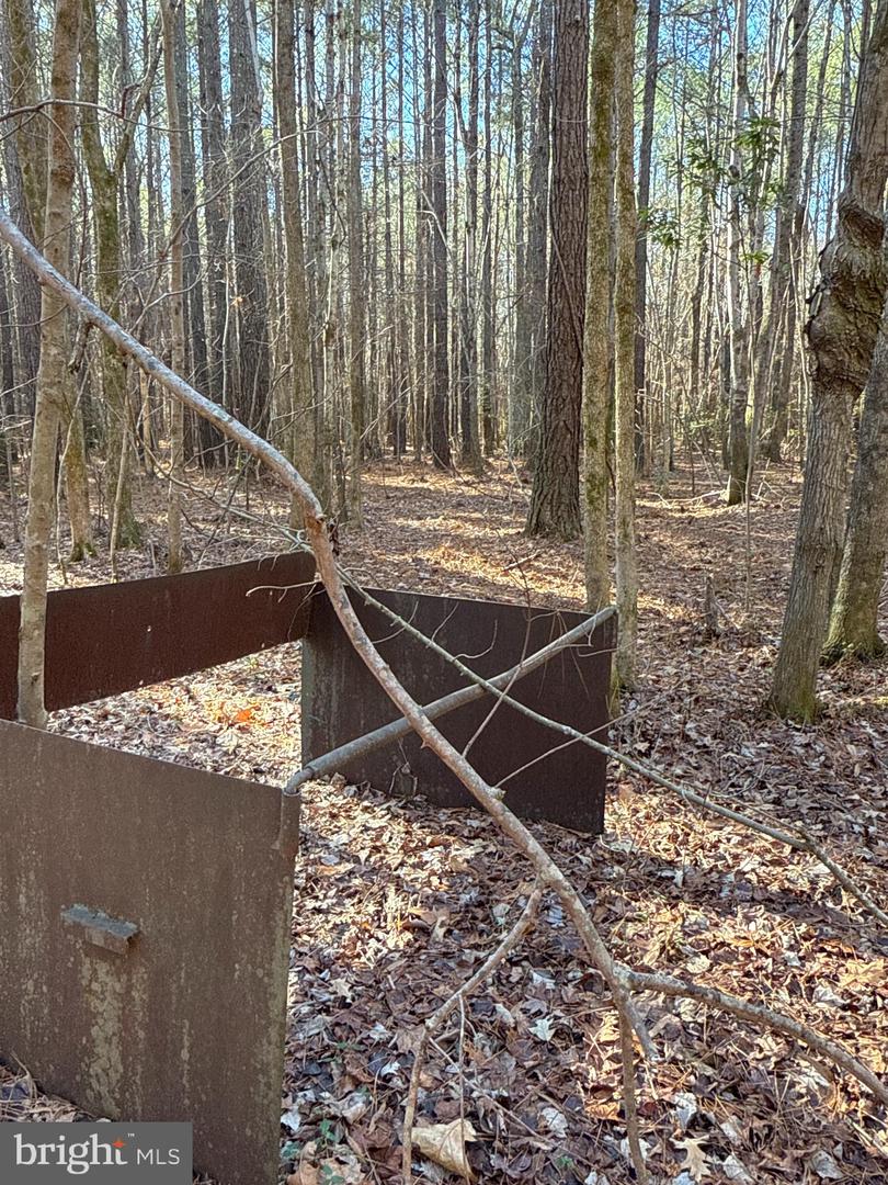 00 GLASS ROAD, HAYES, Virginia 23072, ,Farm,For Sale,00 GLASS ROAD,VAGV2000104 MLS # VAGV2000104 00 GLASS ROAD, HAYES, Virginia 23072, ,Farm,For Sale,00 GLASS ROAD,VAGV2000104 MLS # VAGV2000104