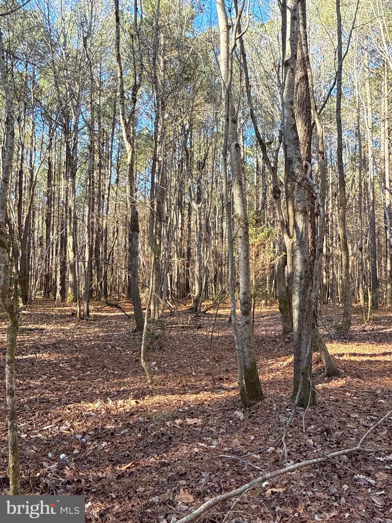 00 GLASS ROAD, HAYES, Virginia 23072, ,Farm,For Sale,00 GLASS ROAD,VAGV2000104 MLS # VAGV2000104 00 GLASS ROAD, HAYES, Virginia 23072, ,Farm,For Sale,00 GLASS ROAD,VAGV2000104 MLS # VAGV2000104