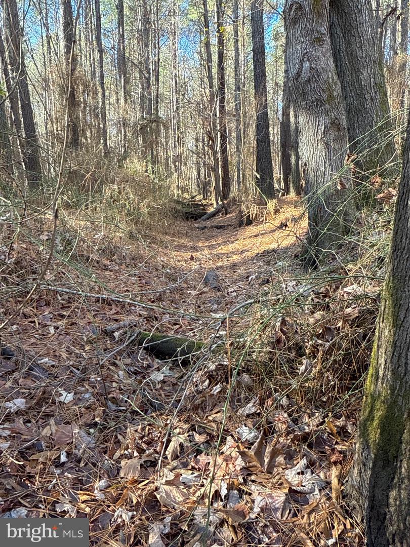 00 GLASS ROAD, HAYES, Virginia 23072, ,Farm,For Sale,00 GLASS ROAD,VAGV2000104 MLS # VAGV2000104 00 GLASS ROAD, HAYES, Virginia 23072, ,Farm,For Sale,00 GLASS ROAD,VAGV2000104 MLS # VAGV2000104