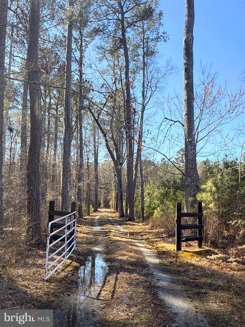 00 GLASS ROAD, HAYES, Virginia 23072, ,Farm,For Sale,00 GLASS ROAD,VAGV2000104 MLS # VAGV2000104 00 GLASS ROAD, HAYES, Virginia 23072, ,Farm,For Sale,00 GLASS ROAD,VAGV2000104 MLS # VAGV2000104