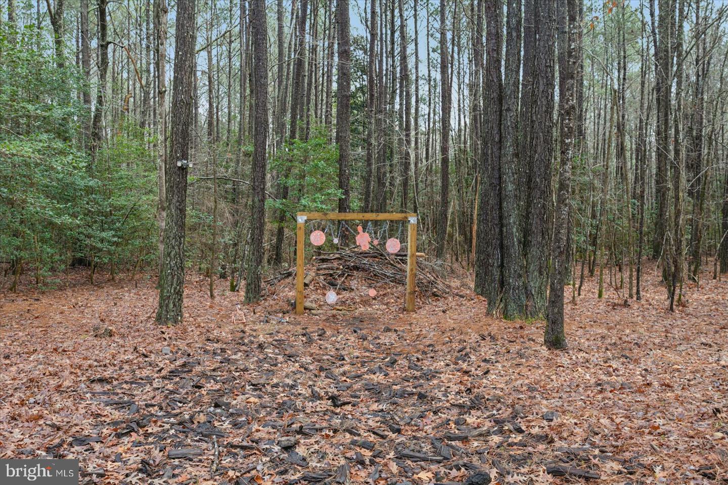 00 GLASS ROAD, HAYES, Virginia 23072, ,Farm,For Sale,00 GLASS ROAD,VAGV2000104 MLS # VAGV2000104 00 GLASS ROAD, HAYES, Virginia 23072, ,Farm,For Sale,00 GLASS ROAD,VAGV2000104 MLS # VAGV2000104