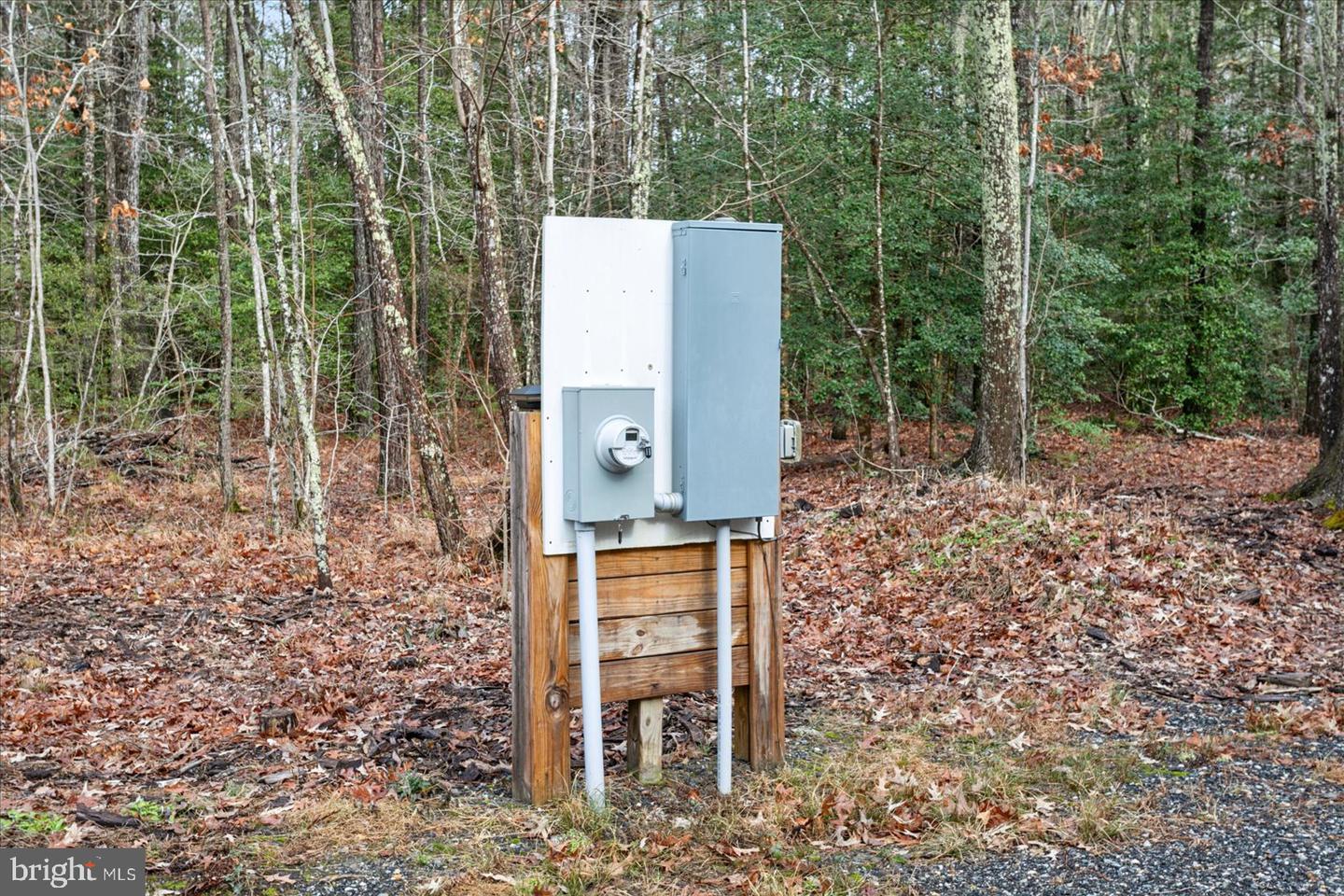 00 GLASS ROAD, HAYES, Virginia 23072, ,Farm,For Sale,00 GLASS ROAD,VAGV2000104 MLS # VAGV2000104 00 GLASS ROAD, HAYES, Virginia 23072, ,Farm,For Sale,00 GLASS ROAD,VAGV2000104 MLS # VAGV2000104