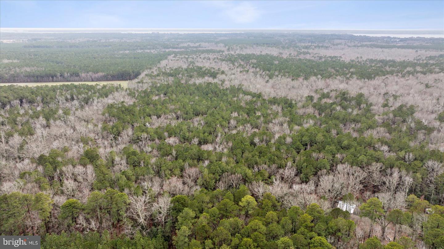 00 GLASS ROAD, HAYES, Virginia 23072, ,Farm,For Sale,00 GLASS ROAD,VAGV2000104 MLS # VAGV2000104 00 GLASS ROAD, HAYES, Virginia 23072, ,Farm,For Sale,00 GLASS ROAD,VAGV2000104 MLS # VAGV2000104