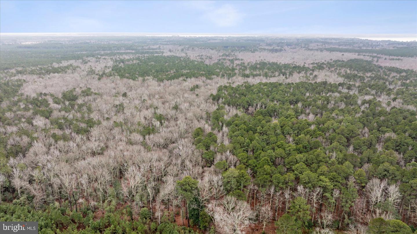 00 GLASS ROAD, HAYES, Virginia 23072, ,Farm,For Sale,00 GLASS ROAD,VAGV2000104 MLS # VAGV2000104 00 GLASS ROAD, HAYES, Virginia 23072, ,Farm,For Sale,00 GLASS ROAD,VAGV2000104 MLS # VAGV2000104