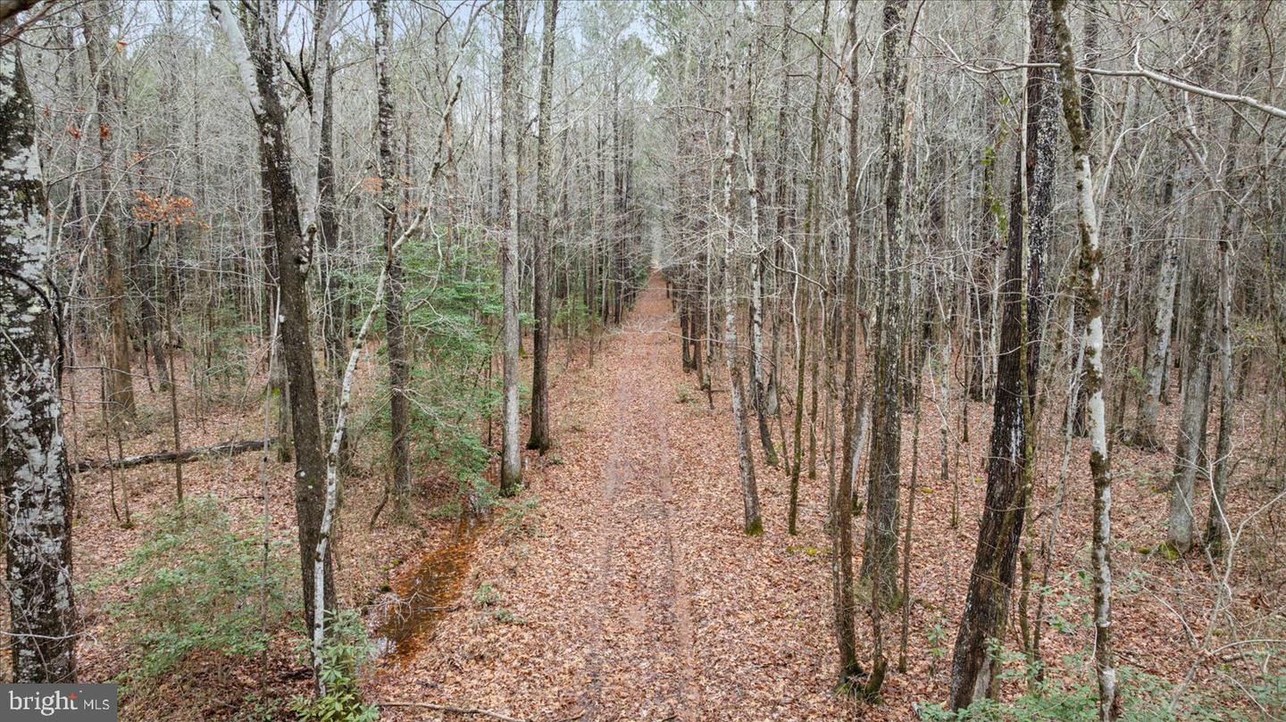 00 GLASS ROAD, HAYES, Virginia 23072, ,Farm,For Sale,00 GLASS ROAD,VAGV2000104 MLS # VAGV2000104 00 GLASS ROAD, HAYES, Virginia 23072, ,Farm,For Sale,00 GLASS ROAD,VAGV2000104 MLS # VAGV2000104