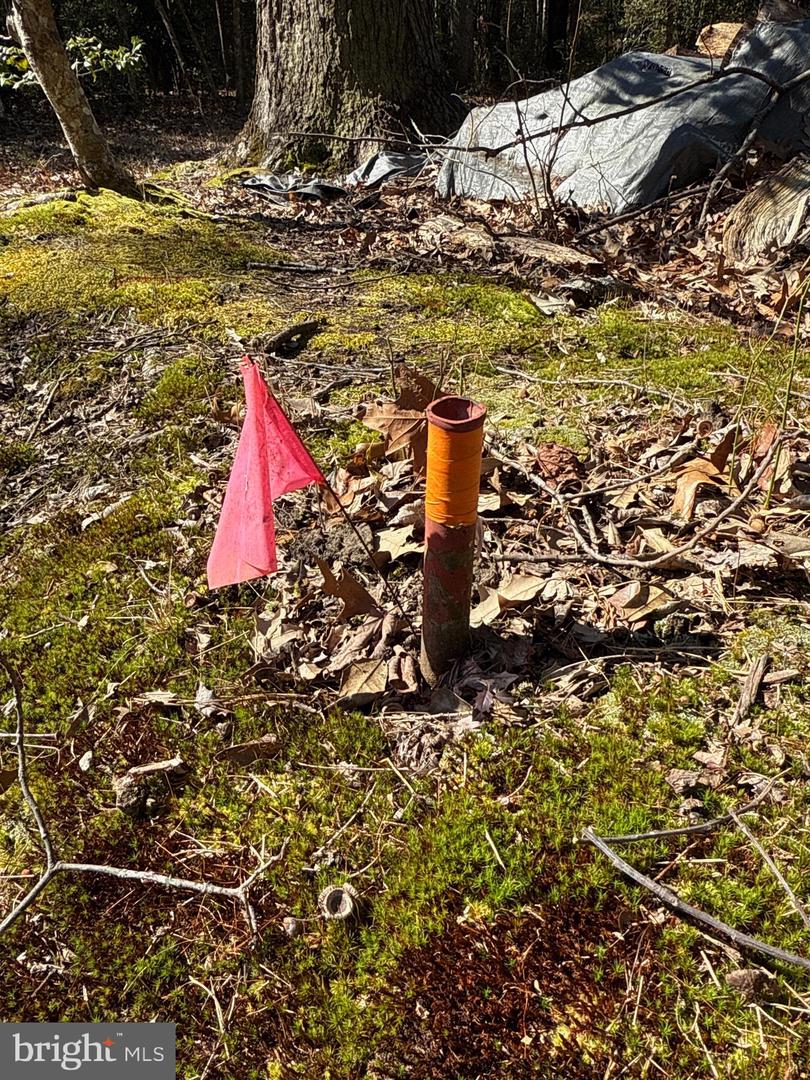 00 GLASS ROAD, HAYES, Virginia 23072, ,Farm,For Sale,00 GLASS ROAD,VAGV2000104 MLS # VAGV2000104 00 GLASS ROAD, HAYES, Virginia 23072, ,Farm,For Sale,00 GLASS ROAD,VAGV2000104 MLS # VAGV2000104