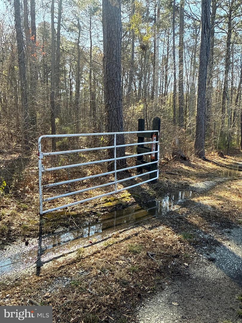 00 GLASS ROAD, HAYES, Virginia 23072, ,Farm,For Sale,00 GLASS ROAD,VAGV2000104 MLS # VAGV2000104 00 GLASS ROAD, HAYES, Virginia 23072, ,Farm,For Sale,00 GLASS ROAD,VAGV2000104 MLS # VAGV2000104