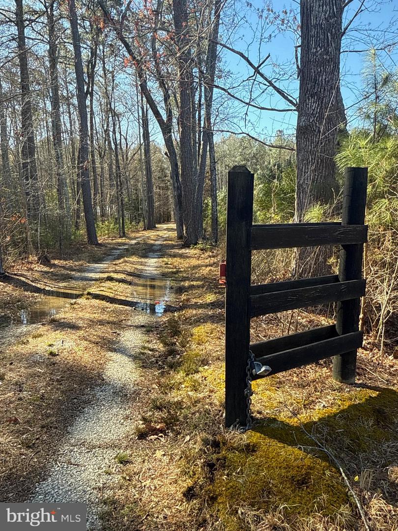 00 GLASS ROAD, HAYES, Virginia 23072, ,Farm,For Sale,00 GLASS ROAD,VAGV2000104 MLS # VAGV2000104 00 GLASS ROAD, HAYES, Virginia 23072, ,Farm,For Sale,00 GLASS ROAD,VAGV2000104 MLS # VAGV2000104