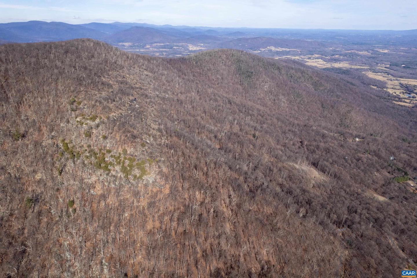 0 SADDLE HOLLOW RD, CROZET, Virginia 22932, ,Farm,For Sale,0 SADDLE HOLLOW RD,660978 MLS # 660978 0 SADDLE HOLLOW RD, CROZET, Virginia 22932, ,Farm,For Sale,0 SADDLE HOLLOW RD,660978 MLS # 660978
