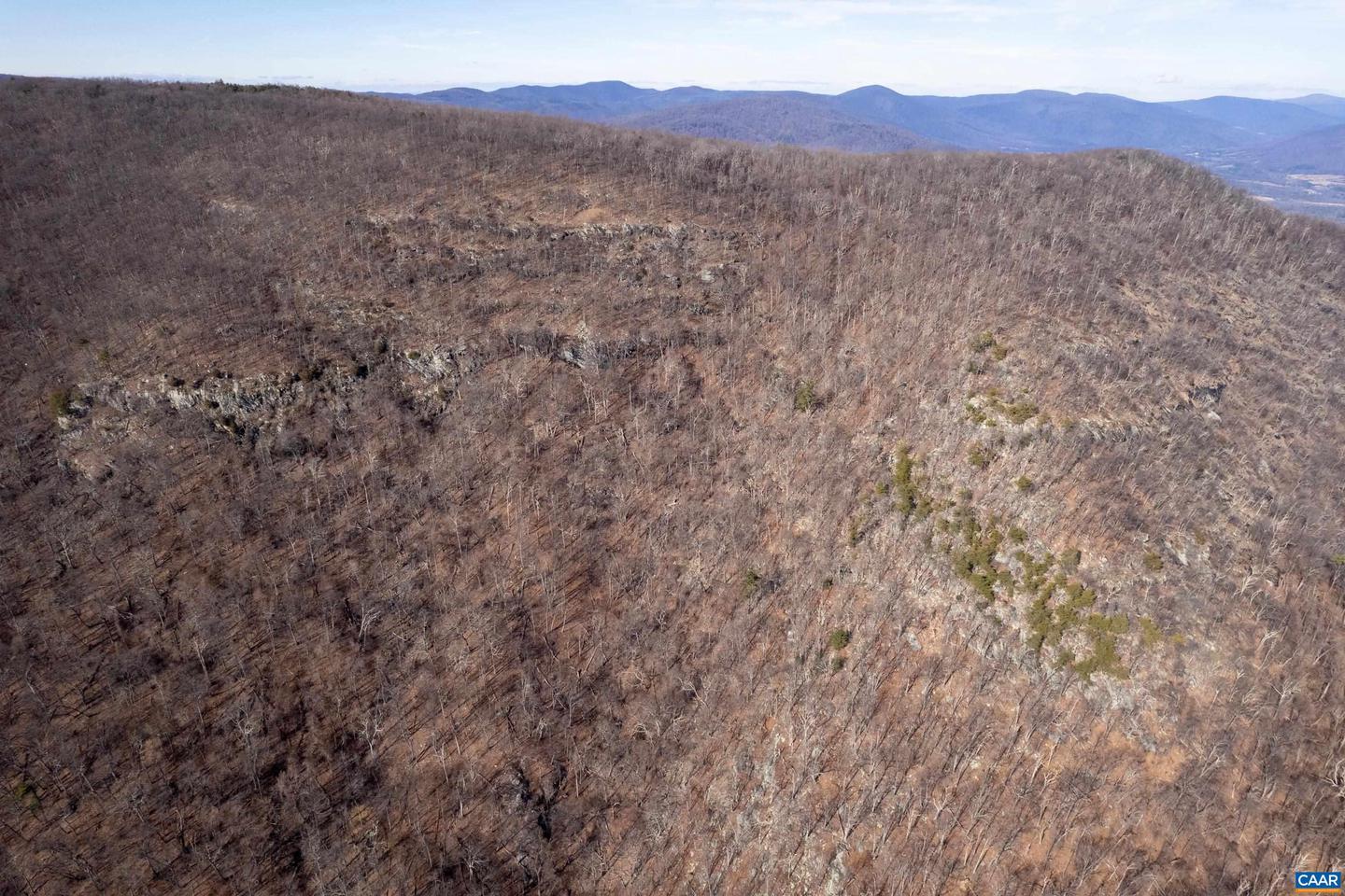 0 SADDLE HOLLOW RD, CROZET, Virginia 22932, ,Farm,For Sale,0 SADDLE HOLLOW RD,660978 MLS # 660978 0 SADDLE HOLLOW RD, CROZET, Virginia 22932, ,Farm,For Sale,0 SADDLE HOLLOW RD,660978 MLS # 660978