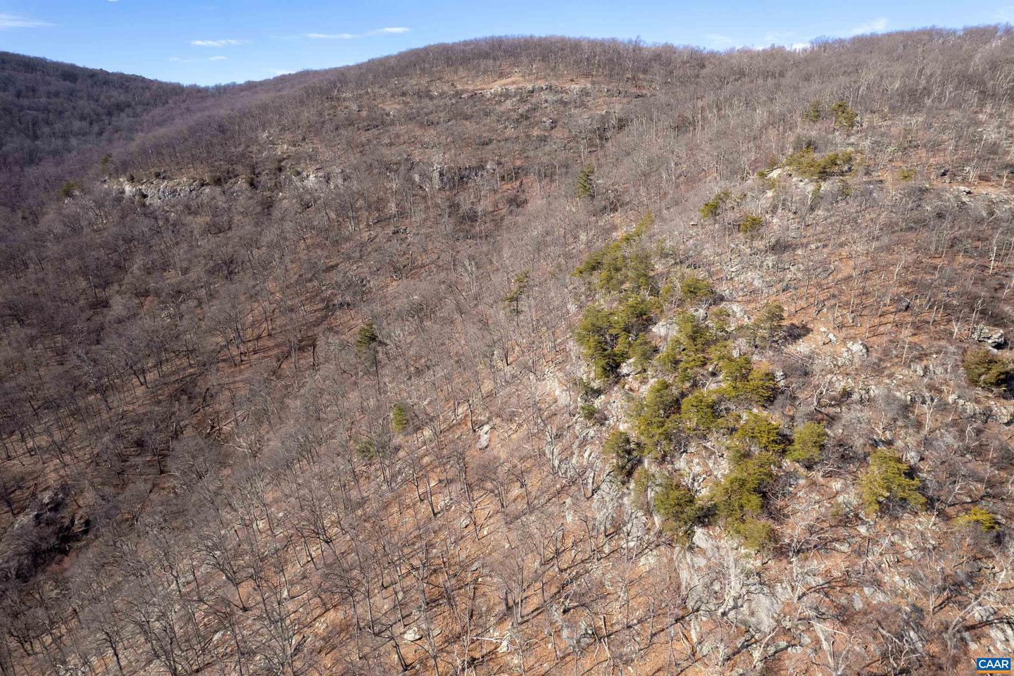 0 SADDLE HOLLOW RD, CROZET, Virginia 22932, ,Farm,For Sale,0 SADDLE HOLLOW RD,660978 MLS # 660978 0 SADDLE HOLLOW RD, CROZET, Virginia 22932, ,Farm,For Sale,0 SADDLE HOLLOW RD,660978 MLS # 660978