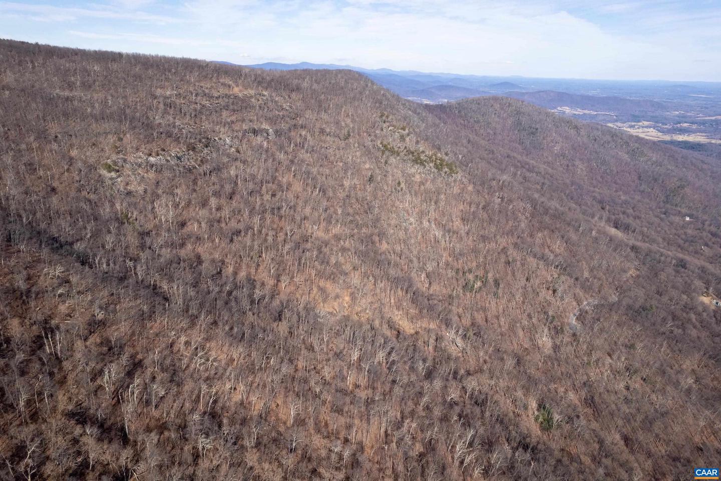 0 SADDLE HOLLOW RD, CROZET, Virginia 22932, ,Farm,For Sale,0 SADDLE HOLLOW RD,660978 MLS # 660978 0 SADDLE HOLLOW RD, CROZET, Virginia 22932, ,Farm,For Sale,0 SADDLE HOLLOW RD,660978 MLS # 660978